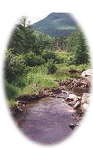Click Here for Summer Activities
