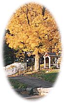 Click Here for Fall Activities
